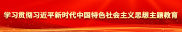 大鸡巴操妣学习贯彻习近平新时代中国特色社会主义思想主题教育